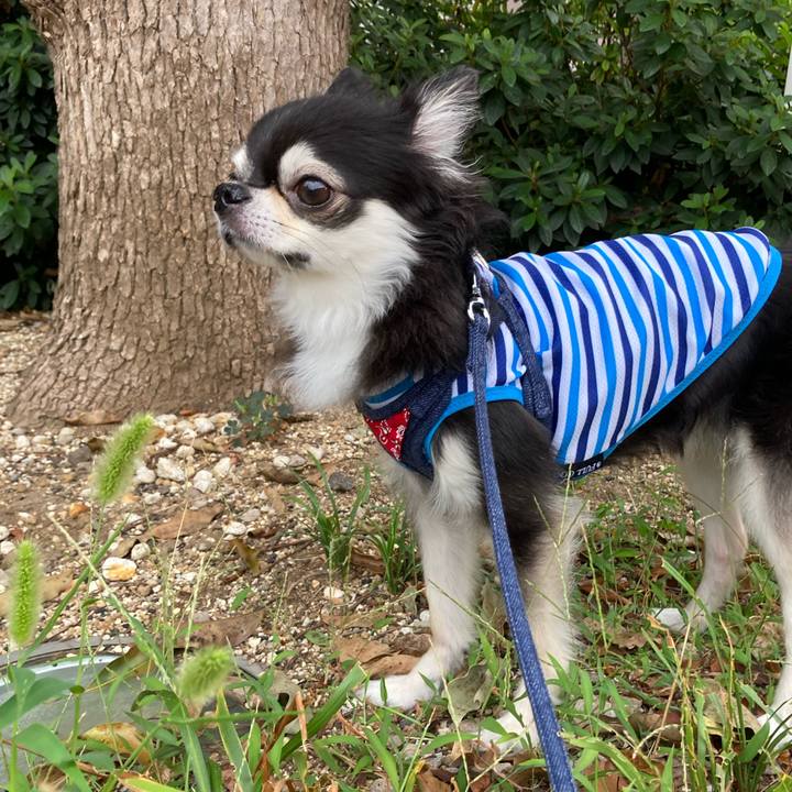 612a28d4 d87e 42bf 9da1 df5a391388a9 1689438688306