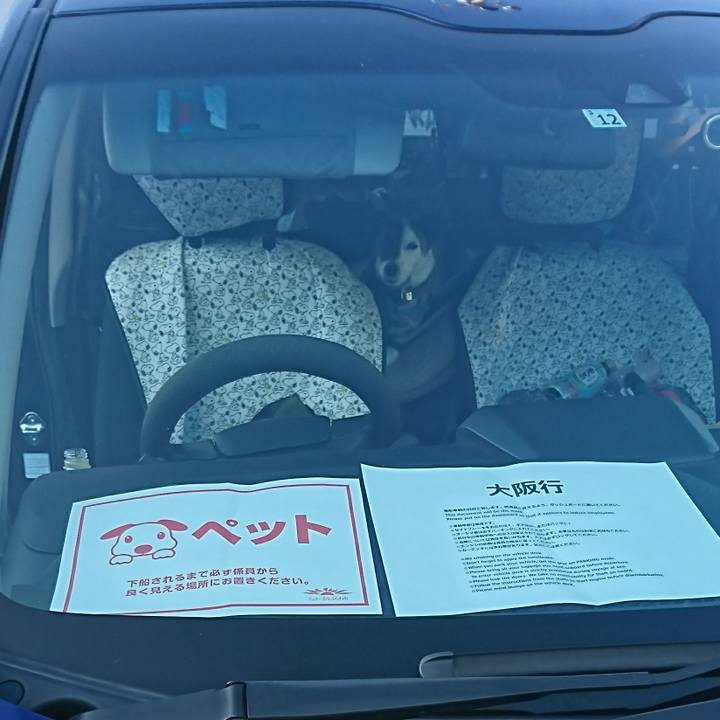 612a3aba ff63 4c1f b487 39b8e8b4c607 1606288652424