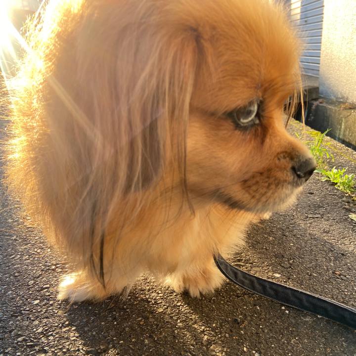 612a6dd0 1e3b 46d7 82e9 cca0f314508e 1632779699076