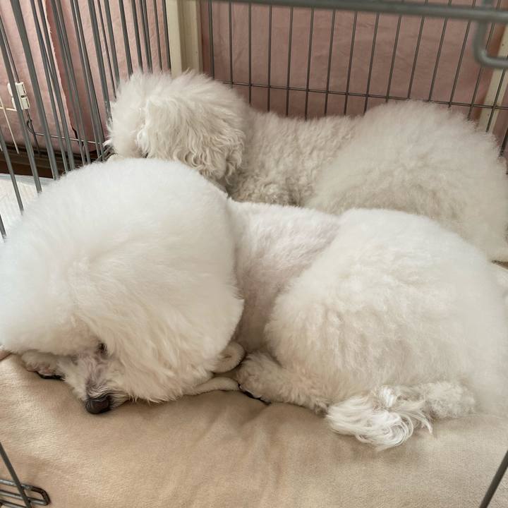 612a7c7b 20b6 481e a053 05d23ad98cd8 1606950997820