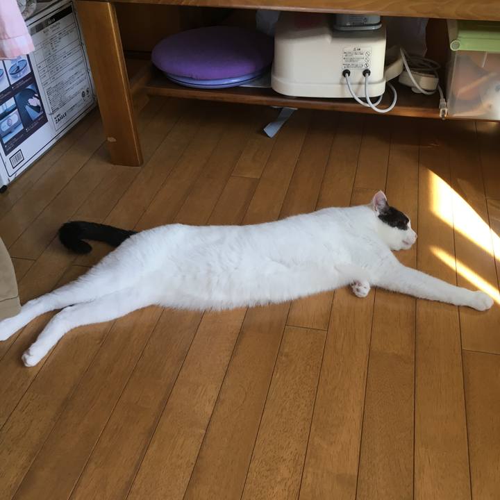 612aba0f 6bbb 49fb 8feb 05f1988c6548 1538973823569