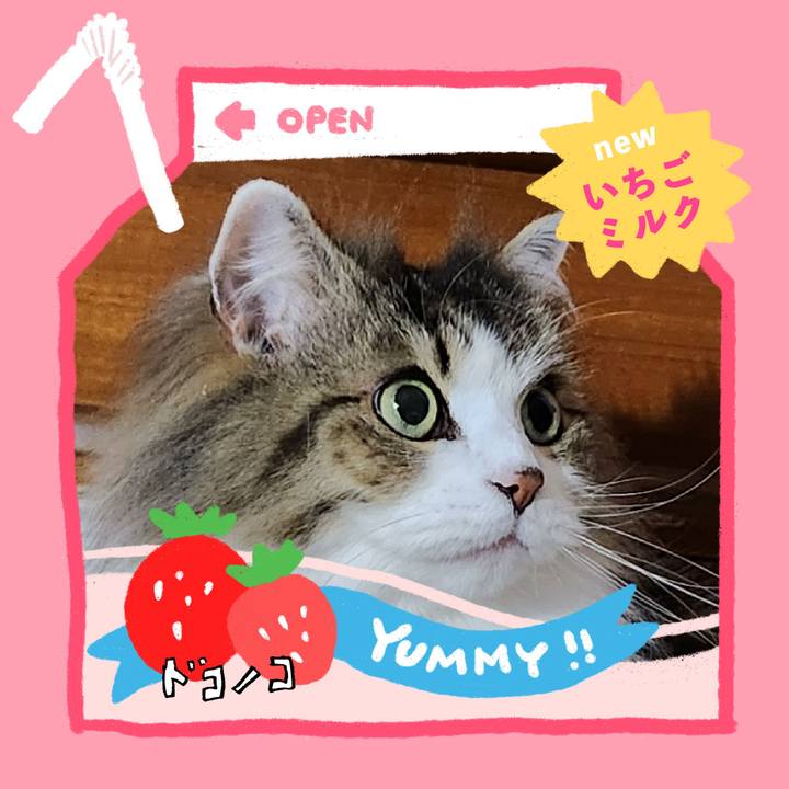 612ac8f1 31c5 4753 ba10 d4cf0e85f73d 1711151922129