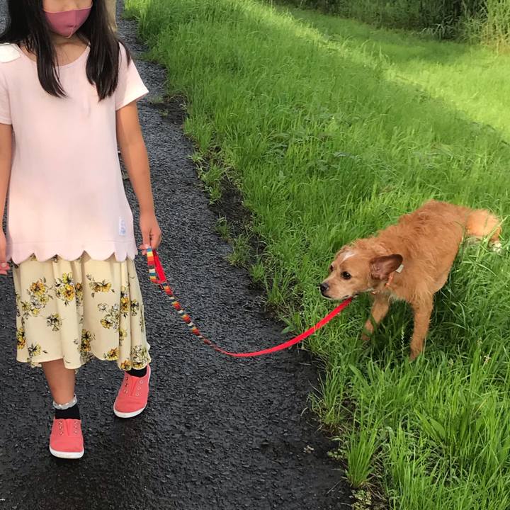 612ae6da ba6a 4346 a6da 1d731e3c545b 1594377689587