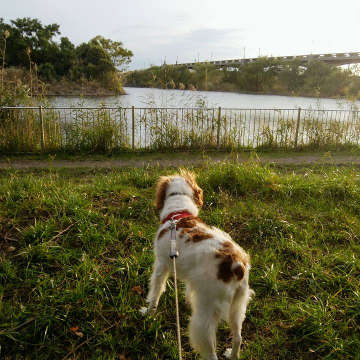 612b0c47 87ef 461f 9cfd 2fdd31284bd6 1542098926438