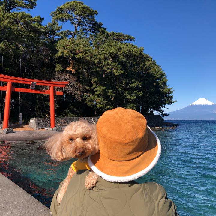 612b1338 ab2b 4be3 b28c 81dc8ab509ed 1774691463976