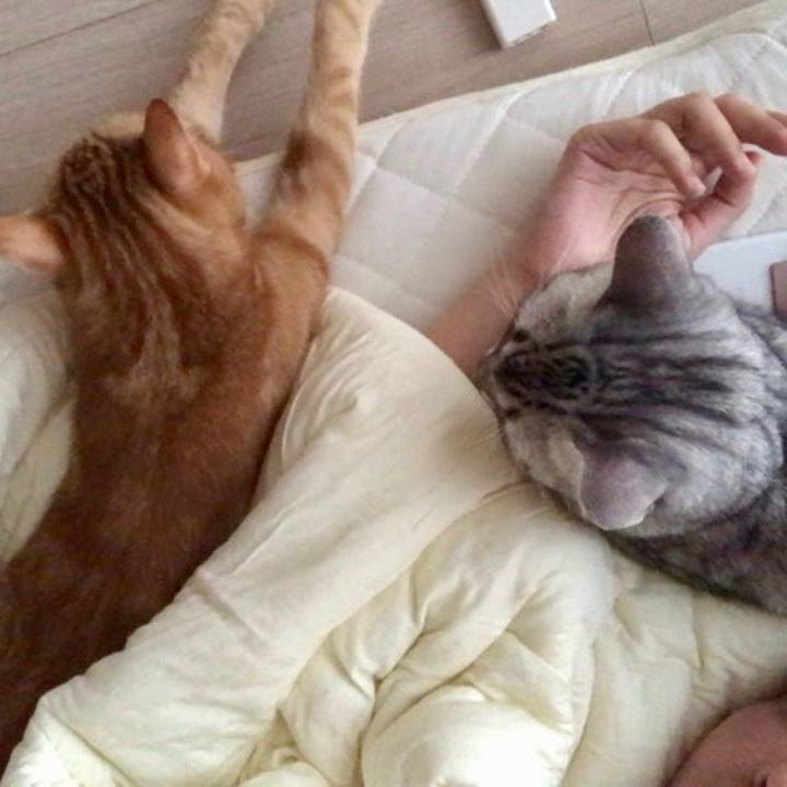 612b139e 8f0a 4261 a3fd e9321e5b2f2a 1537053399511