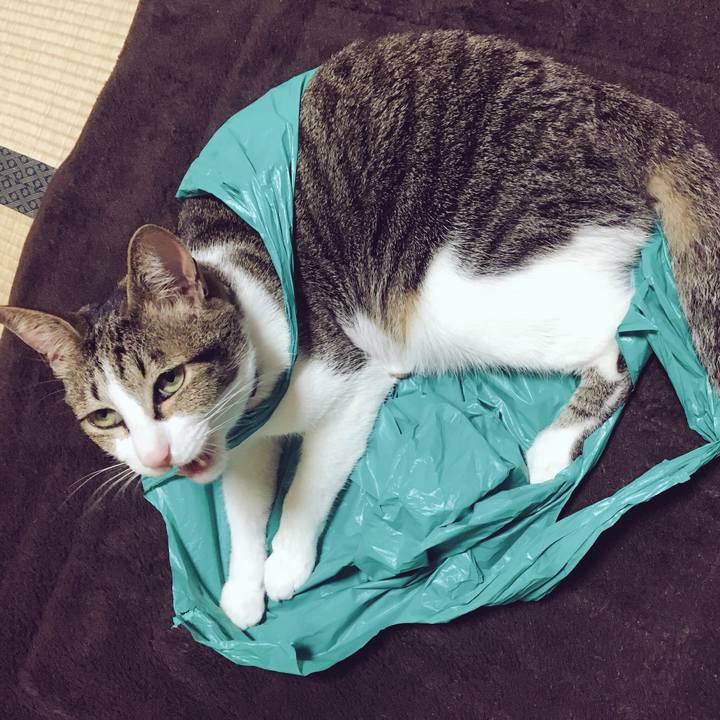 612b1ea4 bf25 46be 9090 49153dbfd9e4 1524182987485