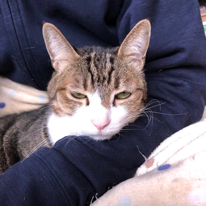 612b23a1 b4cd 44dc bac5 6bbe951b5311 1618623529154