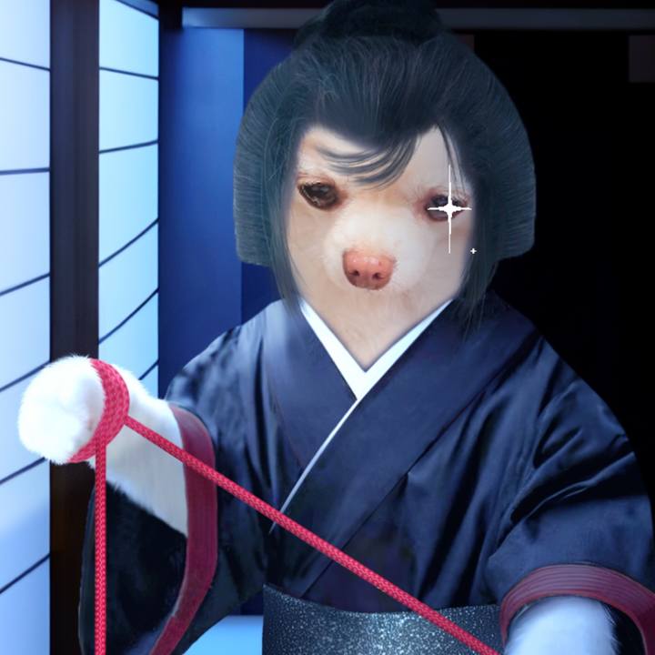 612b9862 ebf0 4c35 864d 852c649f56f3 1708826952352