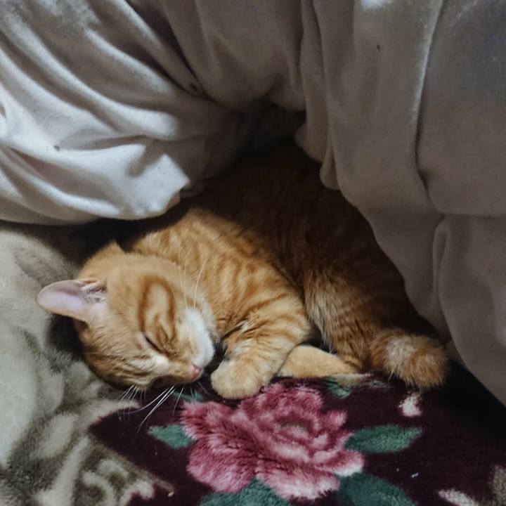 612ba9fc 52f7 4269 9c25 3f3ed33e1982 1645965266786