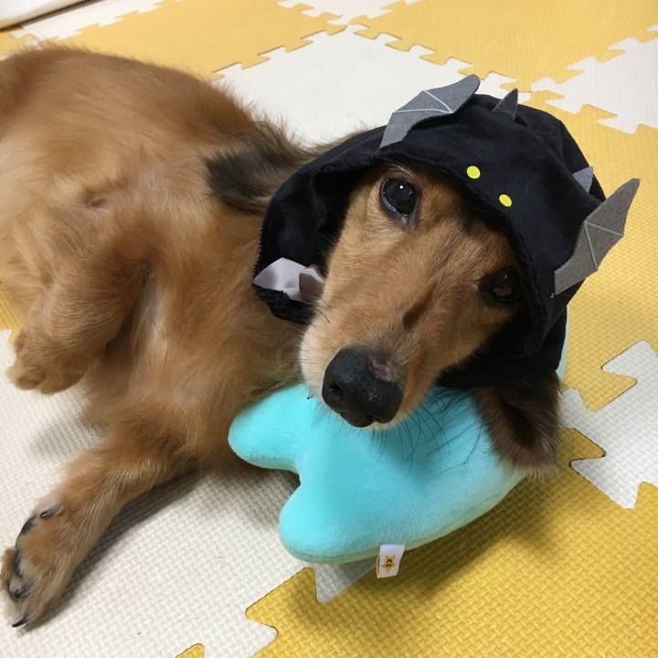 612babce 4957 46e6 bfcc 96d3d742b11f 1509359053915