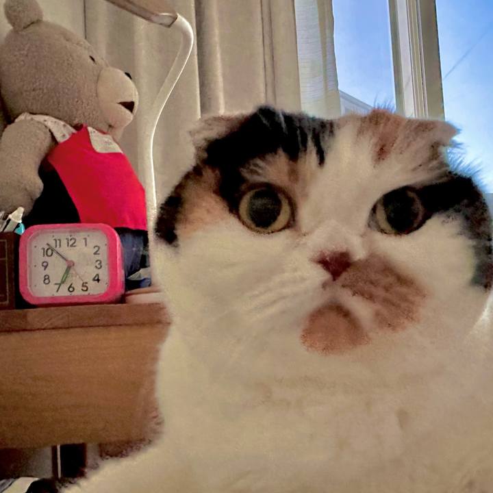 612bafae 822e 49f2 96d1 e5075f90fa66 1703110518557