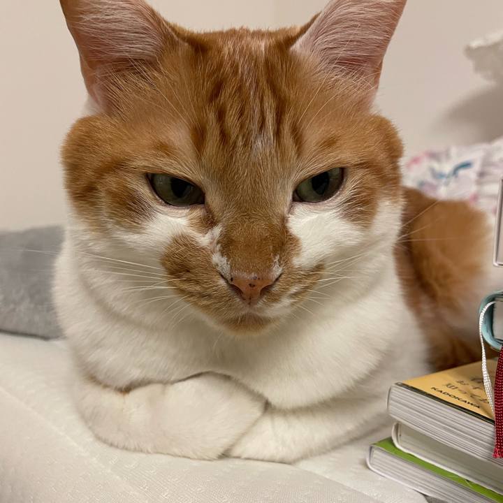 612bbe28 538f 420d 97b6 56403670f62d 1635654495719