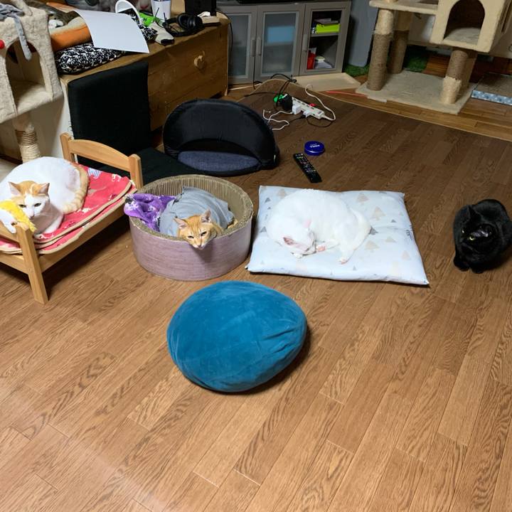 612bd001 3a5e 45e0 8abf 1a907fdbfea9 1573217946157