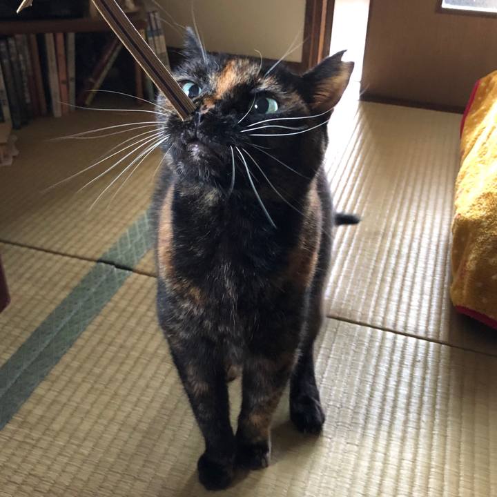 612be539 f270 4197 9a8f 1affbff2e555 1632618412456