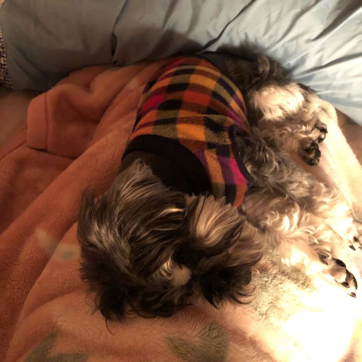 612bed73 f993 4ce9 8dfc 468fa4a770a4 1555943971910