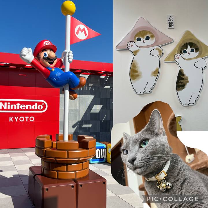 612c08d7 0eb7 47f5 a631 b085318b324f 1698824455297