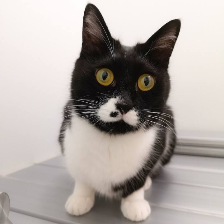 612c2412 74e1 4370 b5ac 41a8d58e57ef 1591113204415