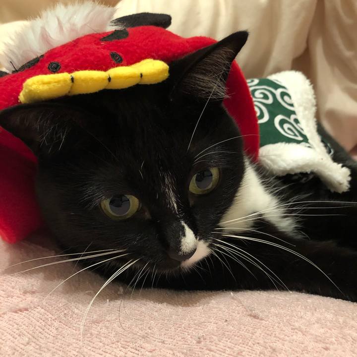 612c96fc 7d30 437b 805d 9e99a1e22539 1571176643719