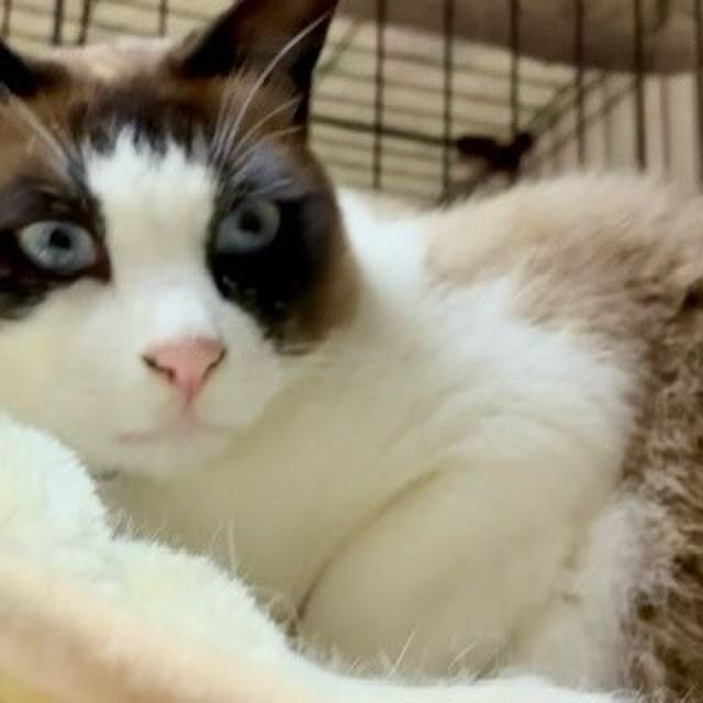 612cacdd 2139 4e9e 803a 260d5e60aab9 1747474402525