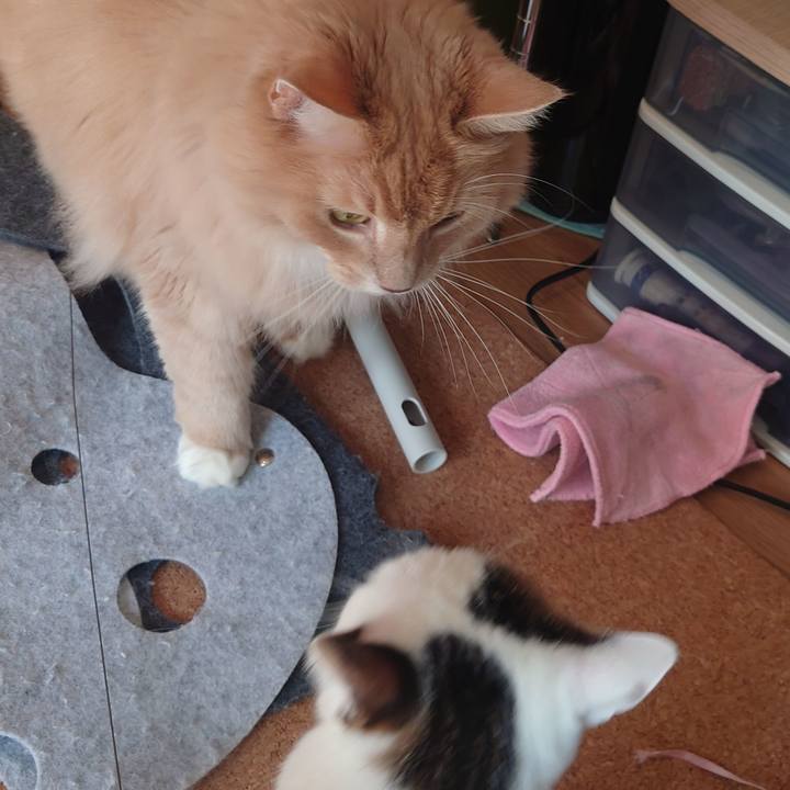 612ce22f 7c6c 4783 a2a5 e993f80bae0b 1696651480871