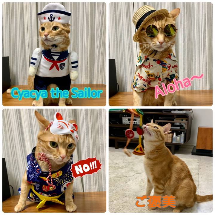 612d2a6d 4b6d 46fa 8f88 ee0f8d638183 1620522356898