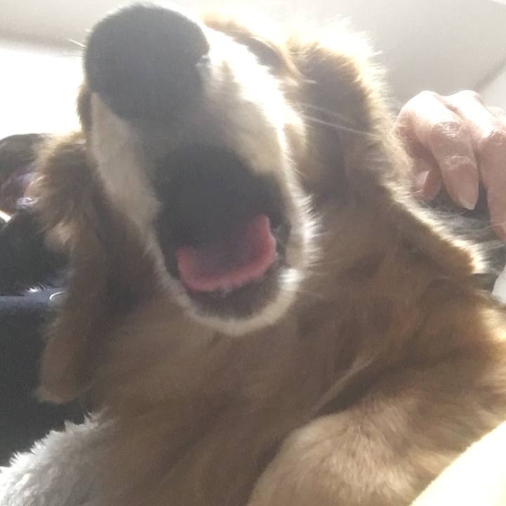 612d2beb 01f3 4d6e 96c0 2eb79e3089bc 1606573646882