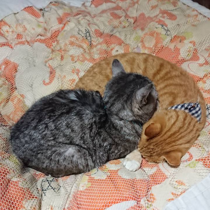 612d4f1b 9e3a 4192 b997 f31c046fb46a 1574252189196