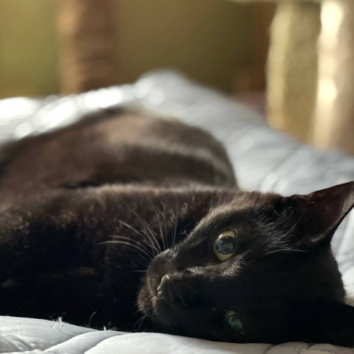 612d64eb 7439 4d76 afac 1a22d75860ba 1631840814822