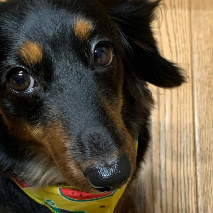 612da1ff 5c1a 4e84 8cb0 cc1ecd114cdf 1597501485126