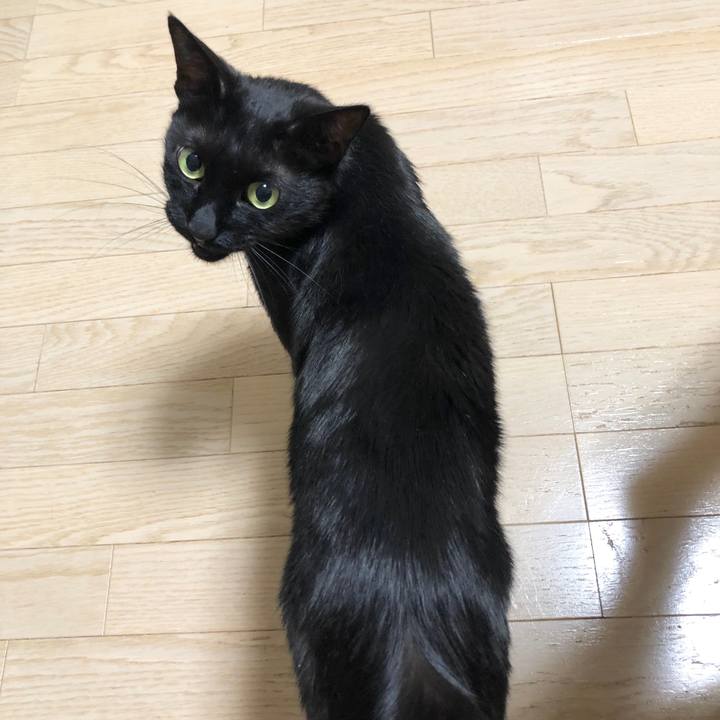 612db783 c38b 4859 9cf8 8e16c3c56e96 1591881696454