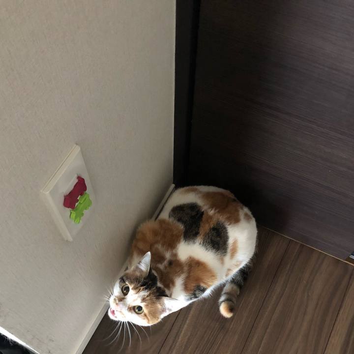 612dcad5 7642 4d40 86c1 63aabbb8992f 1582500422715