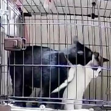 612dcfb5 75cc 4bce a37e a2a7e06f830d 1751486221651