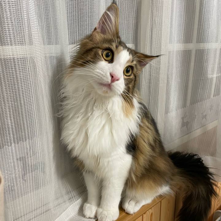 612e1d88 5c1f 4067 803f bbdaea70e699 1640250227873