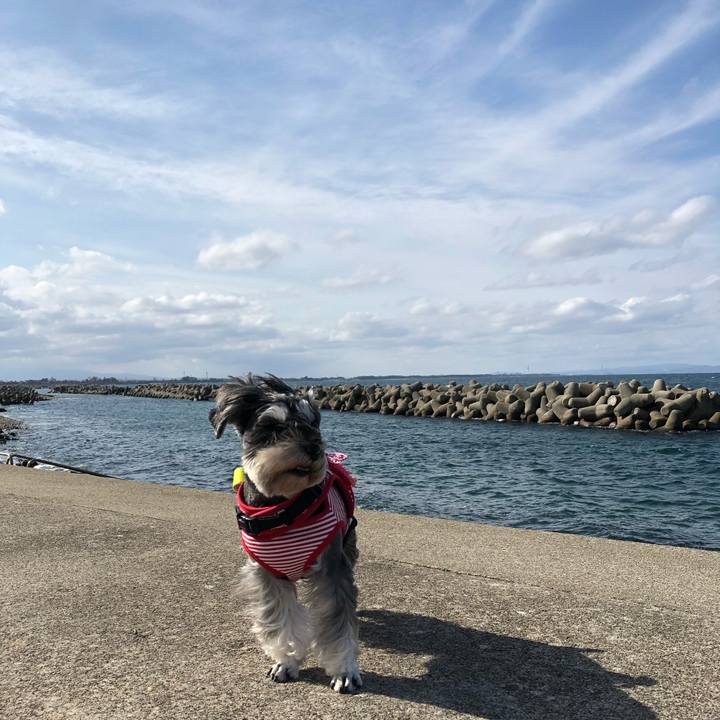 612e9efd 86b6 417f 8b43 18115228cdc9 1573993588450