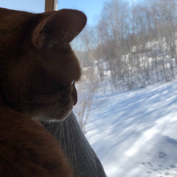 612ecc77 a8ab 4503 92fa f5835e590b1b 1584234888435