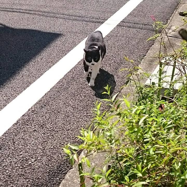 612f04a1 4553 438a b260 f14c2d94500d 1524274681128