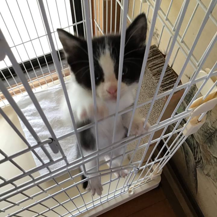 612f2123 2a85 4efd a35e 696ca752e846 1623047896826