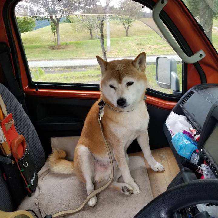 612f2307 7a68 4655 b8be b9b48f610af7 1663737960066