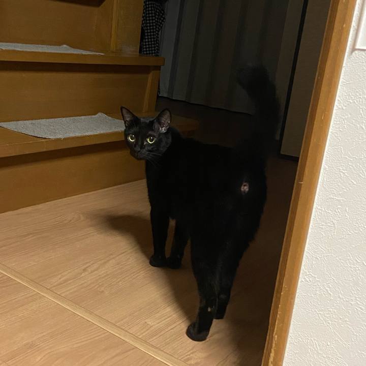 612f2a7d 5898 45f3 9b22 53bfc5cd0c2d 1665574293805