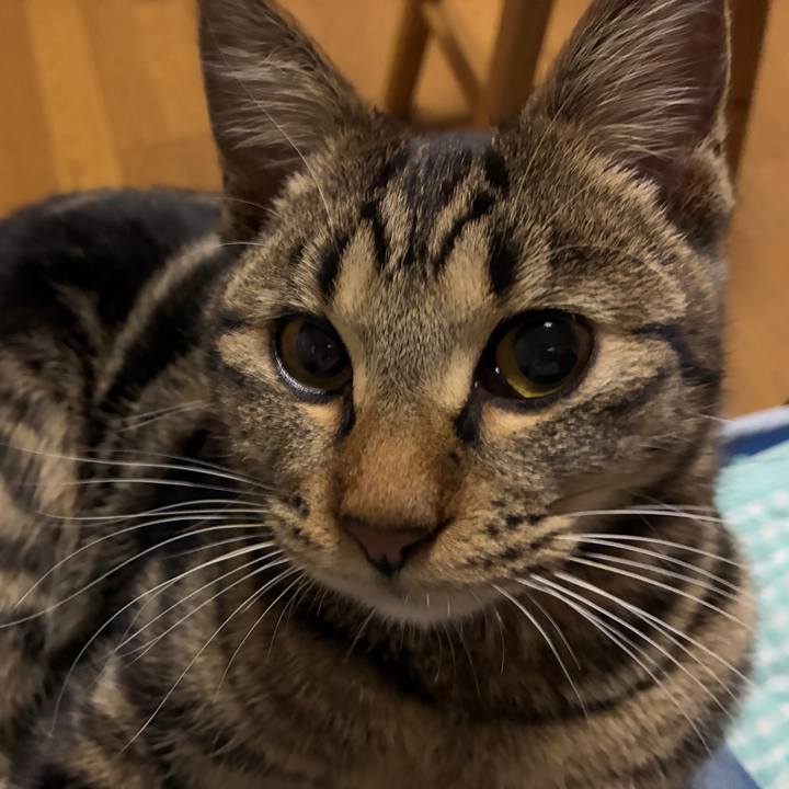 612f2ae7 7285 449c 8381 1a1809436b9e 1745408716007