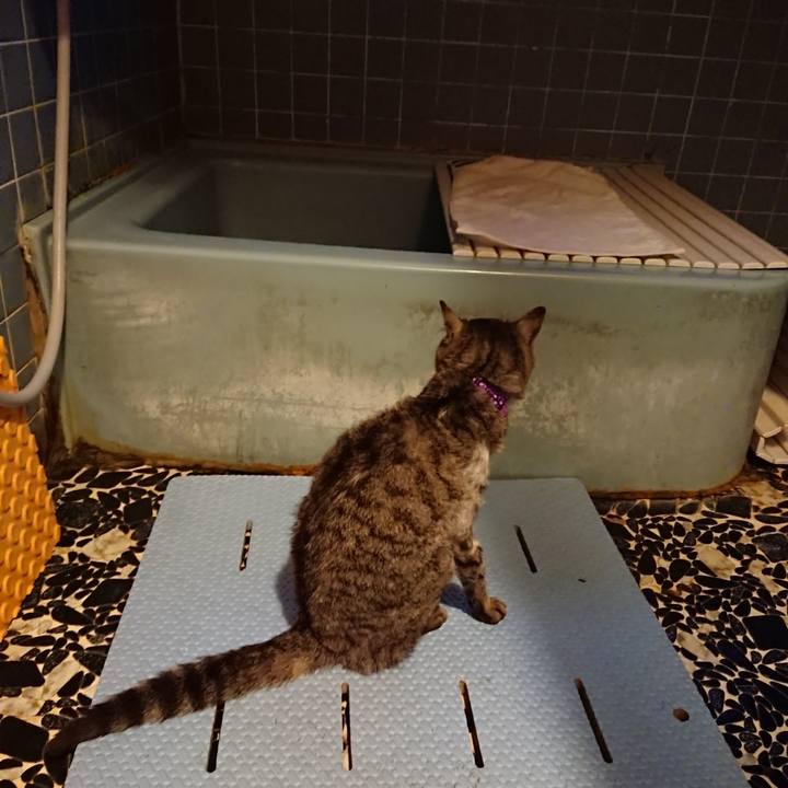 612f342f 4cf6 4a65 813e c74abedc2843 1591352459406