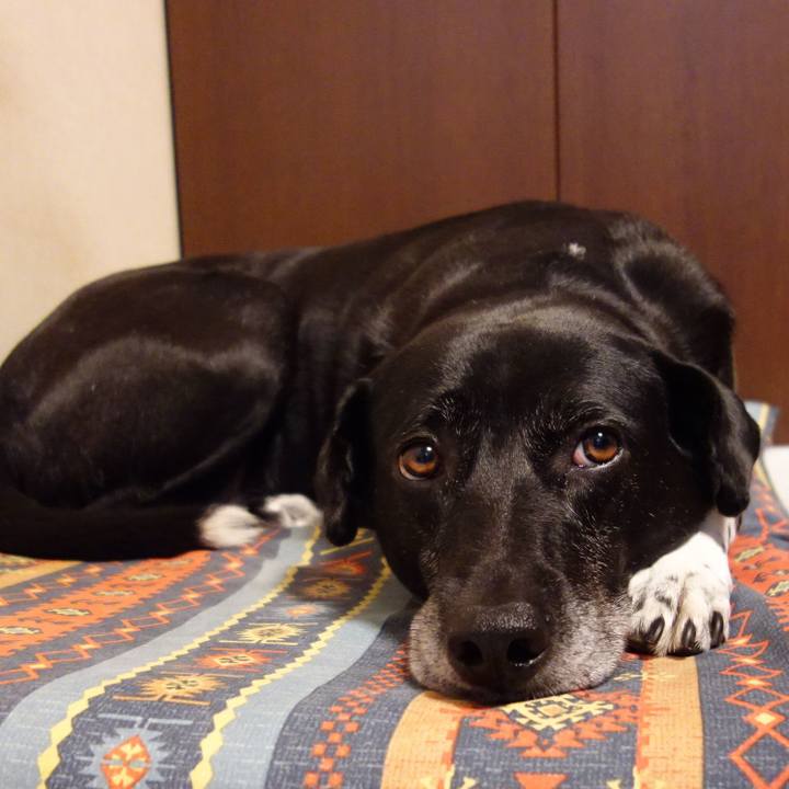 612f6050 3e8c 4d57 9a47 54cc68e9cd40 1718928515529