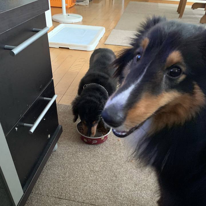 612f693c b677 496c 9a73 4d910bfbfcbe 1565213861606