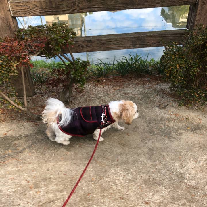 612fc75c 6d30 411c a893 6e7e0ae5376c 1607982116544