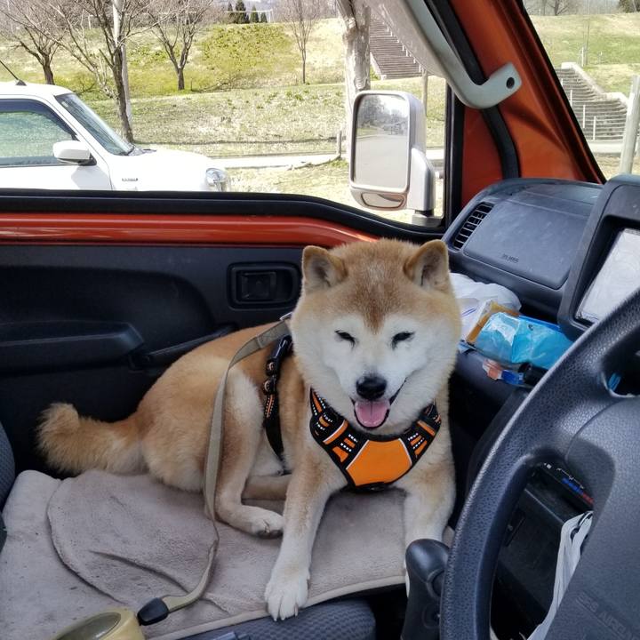 612fc87d bf5e 4561 8e38 33e6c8b8c7aa 1712373920642