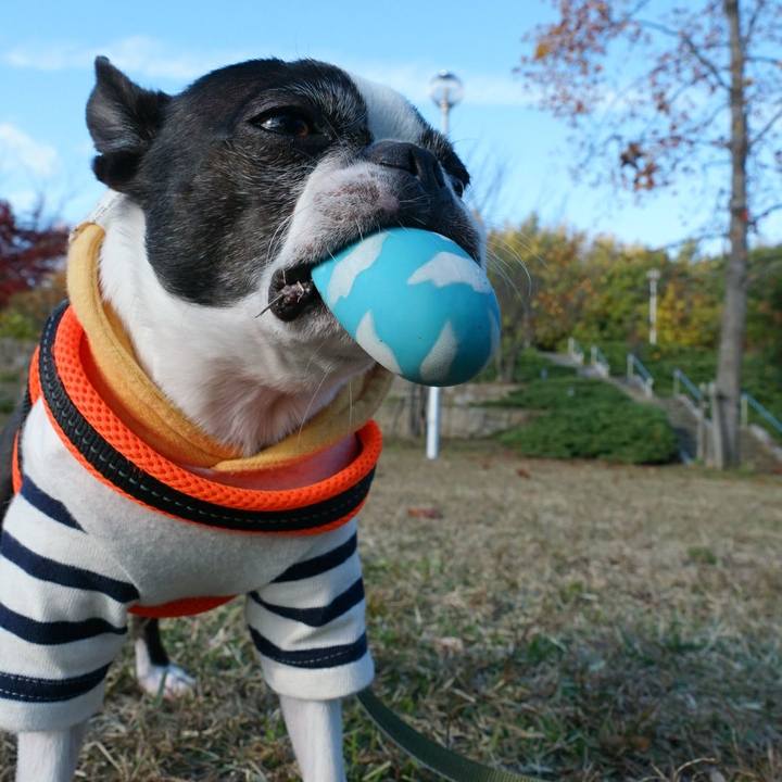 612fca5f 1db1 409a 855b 7928cb3ecb6f 1511426721143