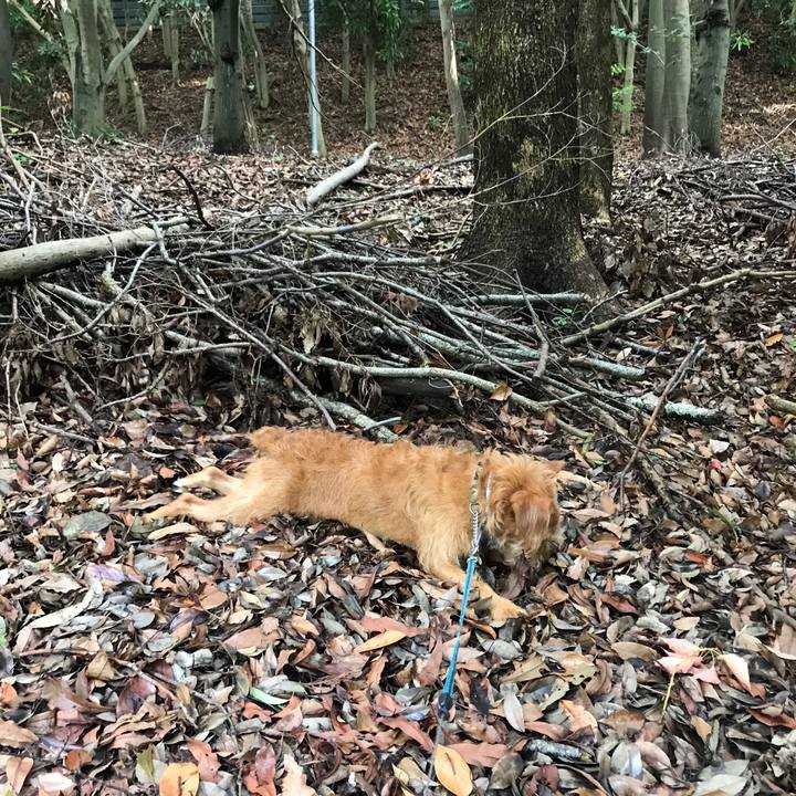 612ff4a6 9ca3 4785 bd40 99d77fbba26b 1592908829567