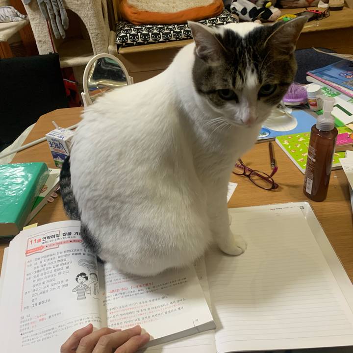 613019cd 1a2e 4359 80c5 0f0ce3b9ed0c 1582458374184