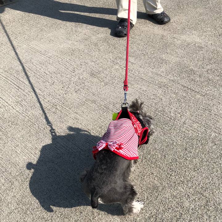 61304ee0 f40a 4b27 8277 c13de4835896 1524904107422